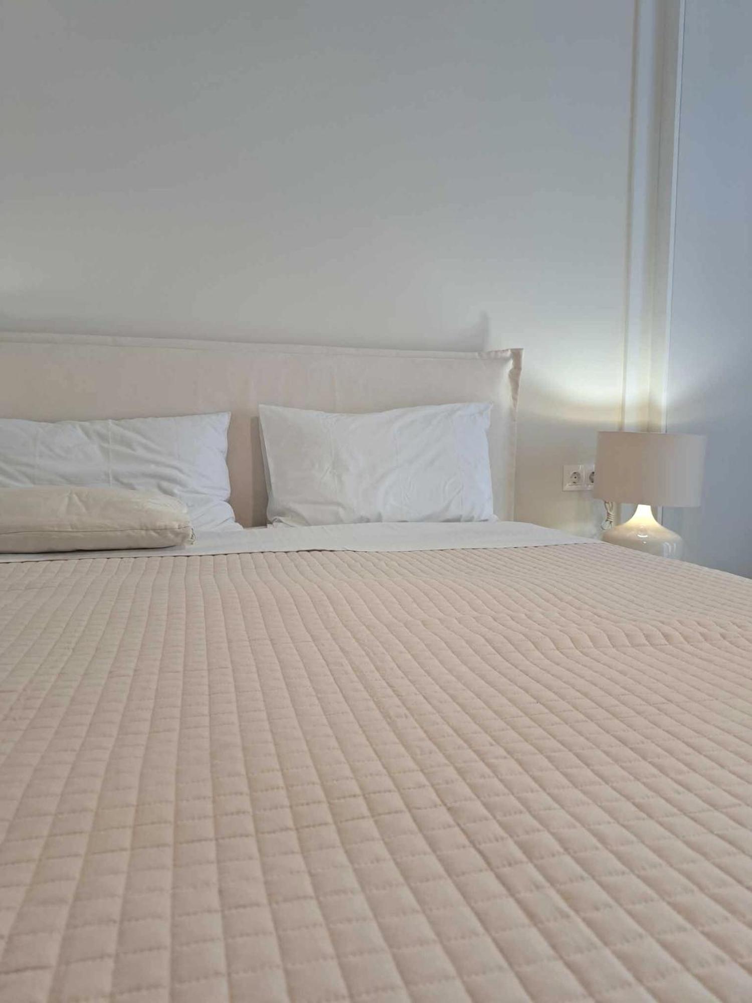 شقة Acropolis Flat أثينا المظهر الخارجي الصورة